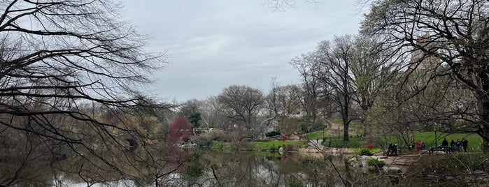 The Pond is one of New York City.