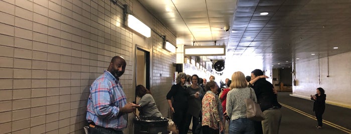 The Metropolitan Opera Stage Door is one of Socialite Musts.