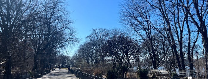 Riverside Park - 91st Street Garden is one of The 15 Best Places for Bike Trails in New York City.