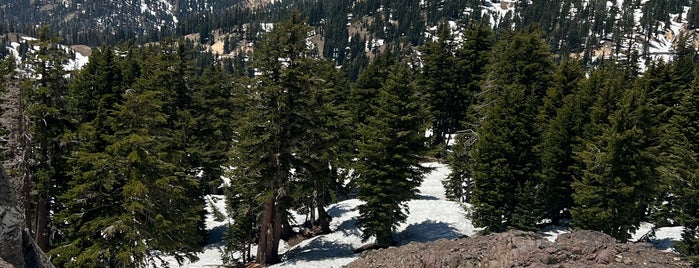 Lassen Volcanic National Park is one of Eさんのお気に入りスポット.