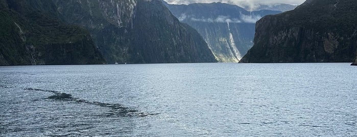 Milford Sound Cruise is one of New Zealand 2020.