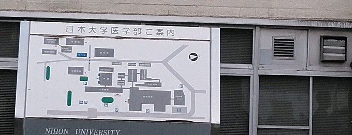 ihon University School of Medicine is one of 日本大学.