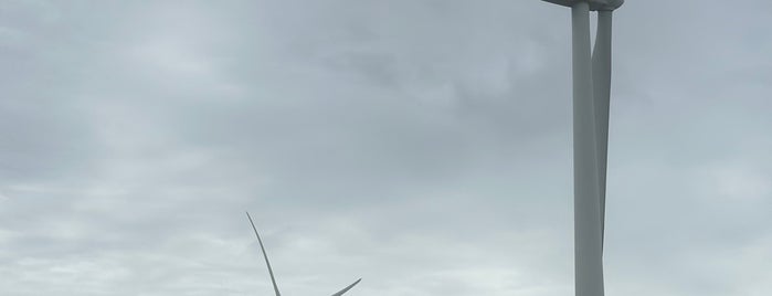 Pililla Wind Farm is one of Aguさんのお気に入りスポット.