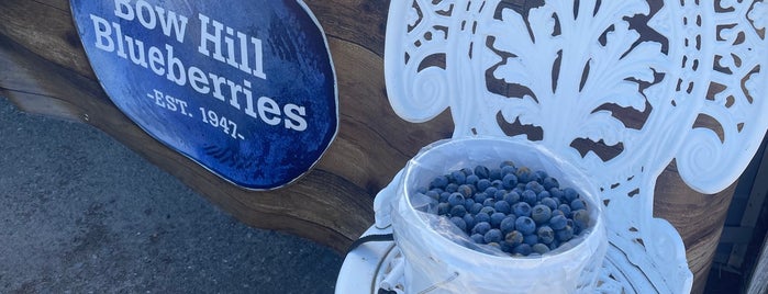 Bow Hill Blueberries is one of Bellingham, WA.