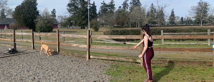 Fort Steilacoom Off-Leash Dog Park is one of Favorite Great Outdoors.