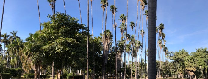 Jardin Botanico Benjamin Francis Johnston is one of Los mochis.