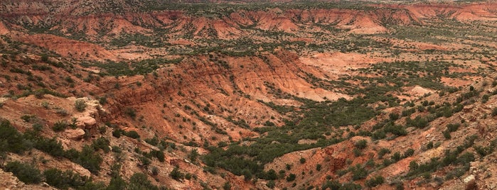 Caprock Canyons State Park is one of TX Camping.