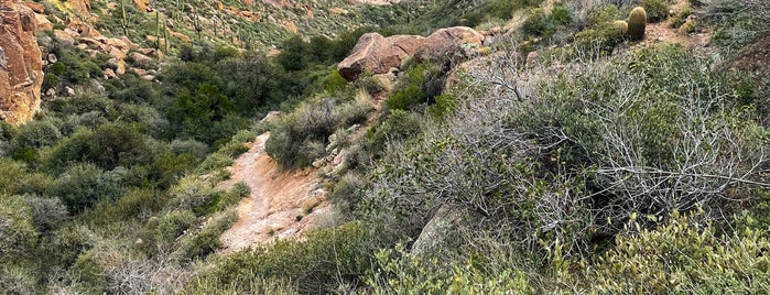 Peralta Trail is one of Best Arizona Hikes.