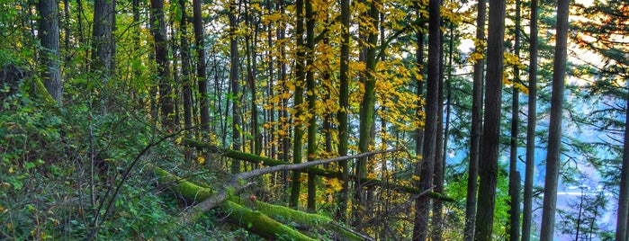 Chirico Trail is one of Lieux qui ont plu à Doug.