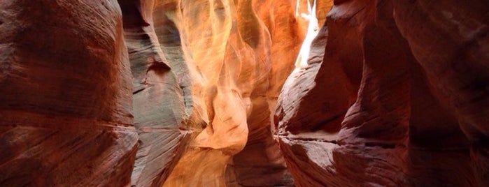 Buckskin Gulch, Vermilion Cliffs Wilderness Area is one of Utah/ Arizona.