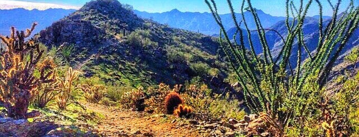 South Mountain Hiking Trails is one of Aire Zona.