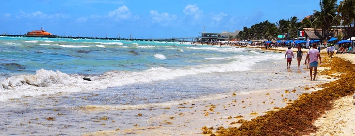 Riviera Maya Beaches
