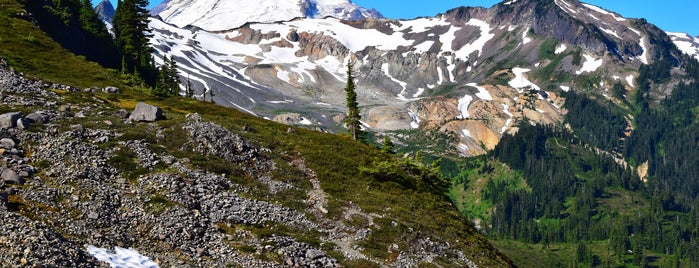 Ptarmigan Ridge Trail is one of Lieux qui ont plu à Enrique.