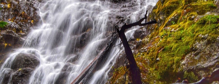 Kamikaze Falls is one of Outside/hiking.