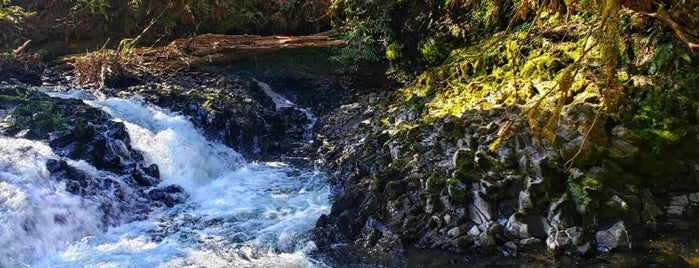 Kennedy Creek Salmon Trail is one of WA State.