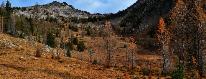 Okanogan National Forest is one of National Recreation Areas.