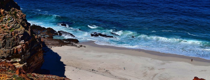 Cape Point Nature Reserve is one of Fresh's Saved Places.