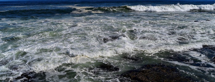 Seapoint beach is one of Cape Town.