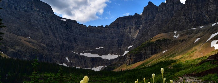 Iceberg Lake Trail is one of Banff, Jasper & Glacier National Park 🏔.