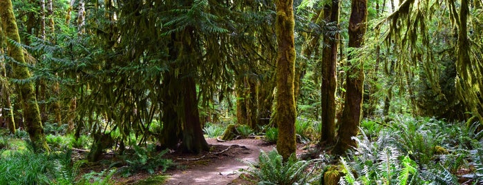 East Beach is one of Olympic Peninsula.