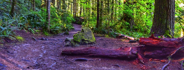Discovery Park South Parking Lot is one of The 15 Best Hiking Trails in Seattle.