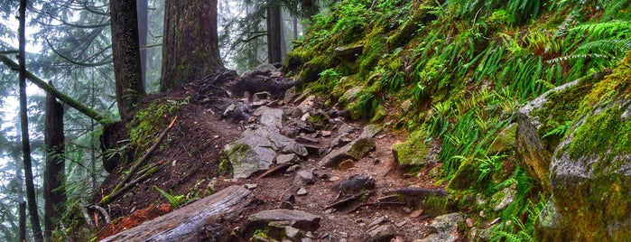 Bandera Mountain Trailhead is one of Hiking 2015.