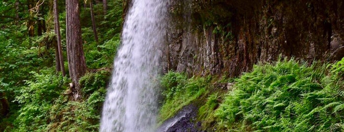 Maple Ridge Trail is one of Oregon.