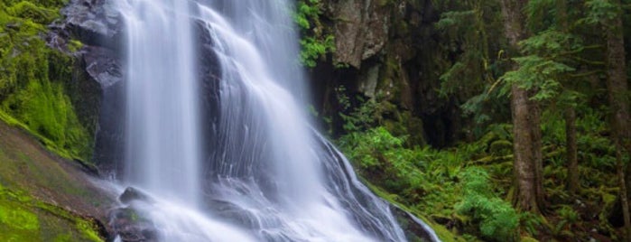 Sweet Creek Falls & Hiking Trail is one of Pacific Northwest.