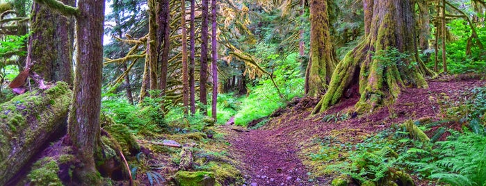 Snoqualmie Point Park is one of Locais curtidos por John.