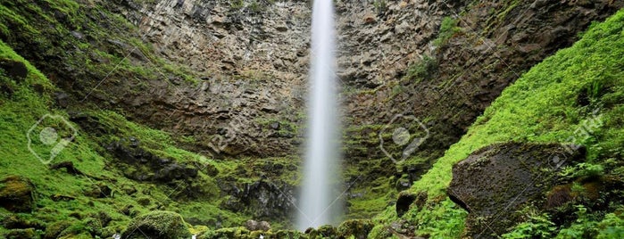 Umpqua National Forest is one of National Recreation Areas.