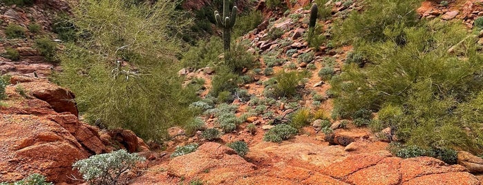Camelback Mountain Summit Trail is one of Outdoors.