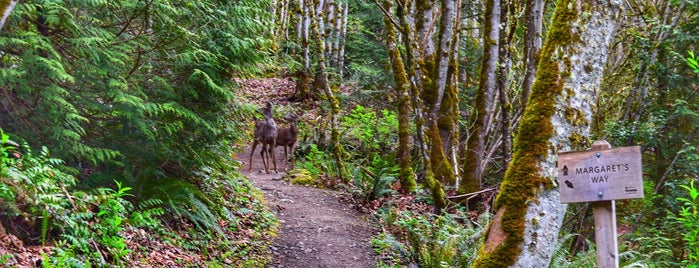 Cougar Mountain Wilderness Trailhead is one of Washington Travels.