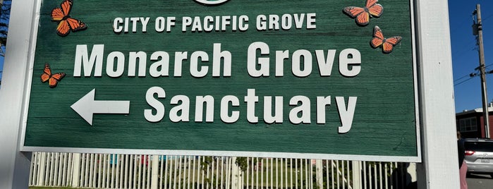 Monarch Grove Sanctuary is one of HWY1: Santa Cruz to Monterey/Carmel.