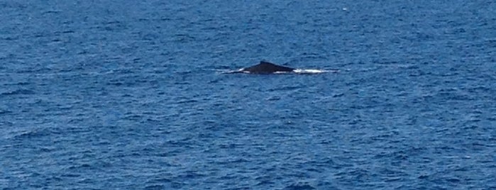 Middle of the Ocean is one of Shamus'un Beğendiği Mekanlar.