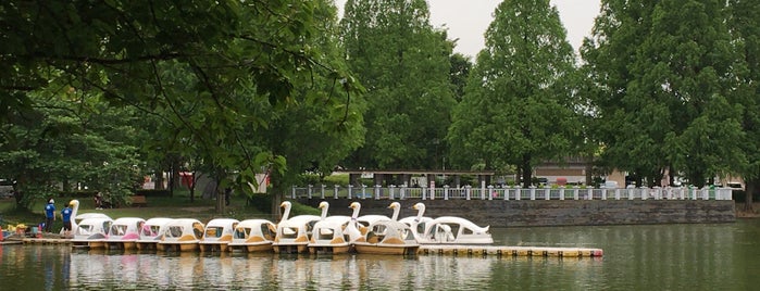 川越市水上公園 ボート乗り場 is one of 公園_埼玉県.