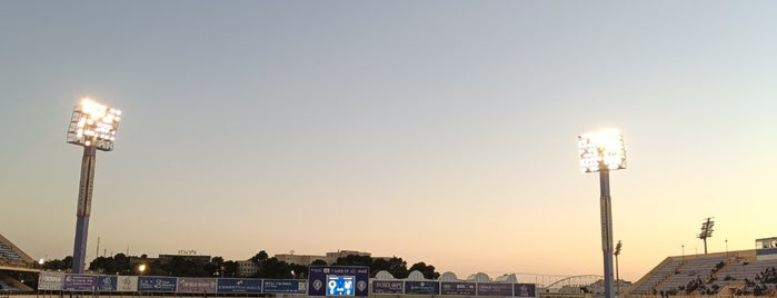 Estadio José Rico Pérez is one of Alrededor del Hotel Cervantes.