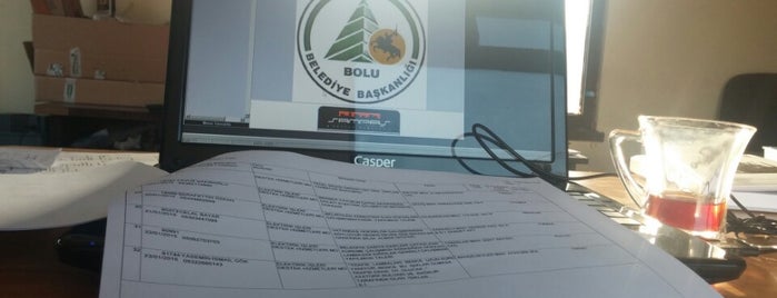 Bolu Belediye Başkanlığı Elektrik İşleri Müdürlüğü is one of santiye.