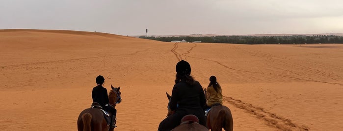 منتجع نوفا للفروسية is one of Horse ridding Riyadh.