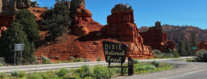 Dixie National Forest is one of Utah + Vegas 2018.