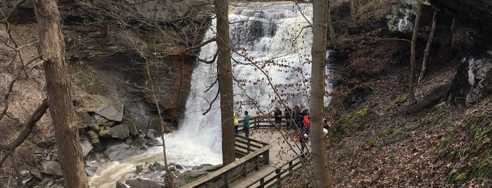 Brandywine Falls is one of Road Trip 2012.