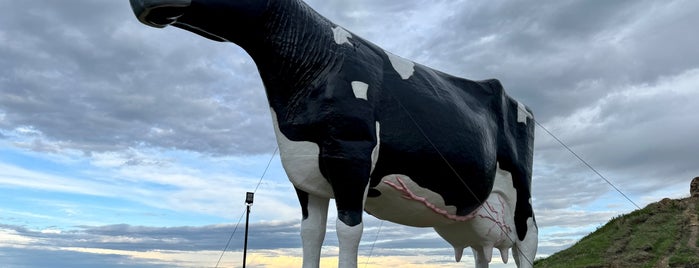 Salem Sue - World's Largest Holstein Cow is one of USA 4.