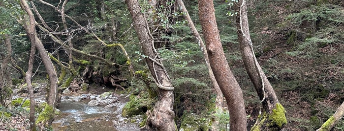 Pavliani Recreation Park is one of Posti che sono piaciuti a mariza.