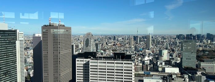 Observatories, Tokyo Metropolitan Government Building is one of Rob eats Tokyo.