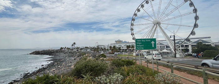 Wheel of Excellence is one of Cape Town.