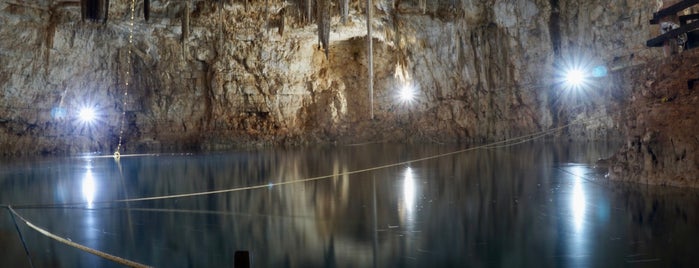 Cenote palomitas is one of Cancun.