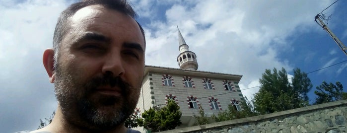 Baltalimanı Merkez Camii is one of İbadethane.