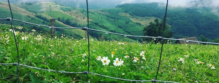 Doi Pha Mi is one of Bangkok.