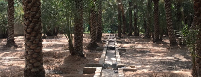 Al Ain Oasis is one of Lugares favoritos de Irene.