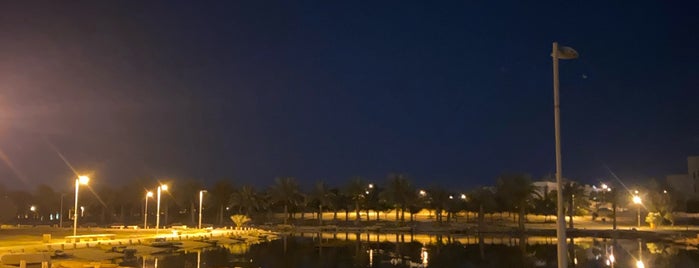 درة الرياض is one of สถานที่ที่บันทึกไว้ของ Feras.