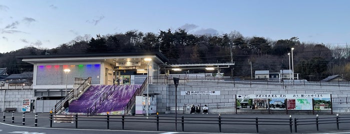 Ashikaga Flower Park Station is one of JR 키타칸토지방역 (JR 北関東地方の駅).